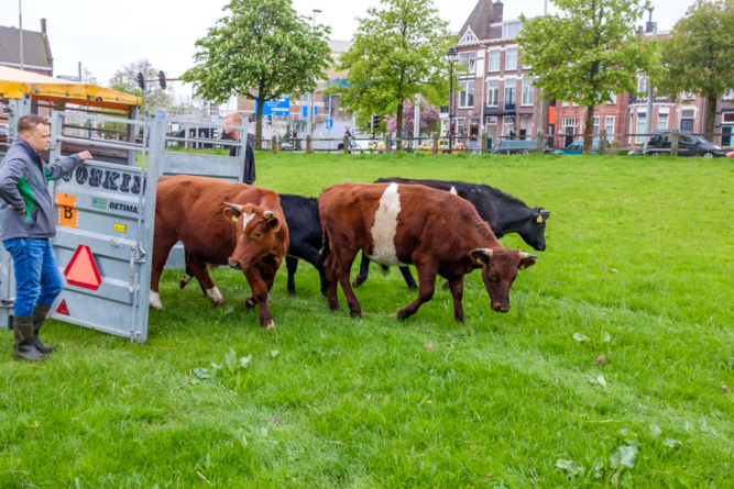 Shops, Restaurants en terraces in Arnhem