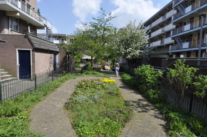 Binnentuin SPijkerkwartier Arnhem