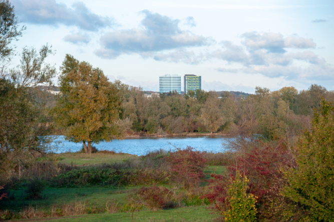 Meinerswijk en WTC Arnhem