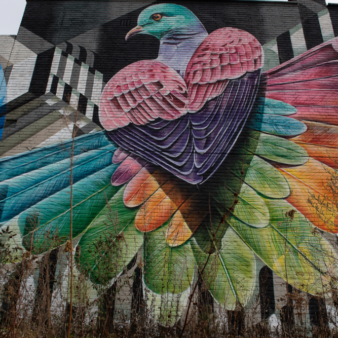 Kleurrijke Streetart van een duif