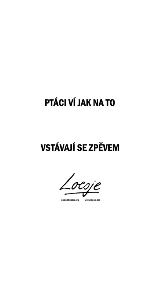 Loesje Tsjechië