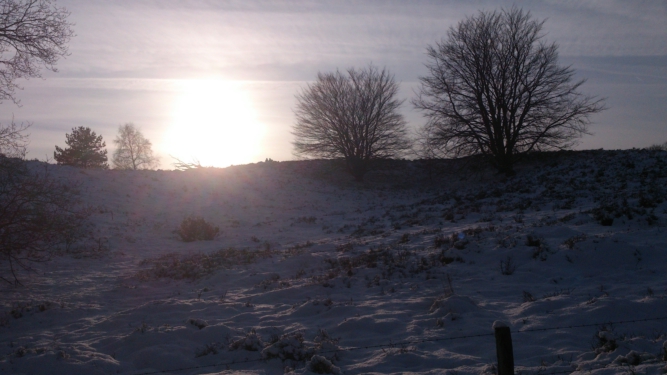 Sneeuw op een heideveld bij zonsopkomst