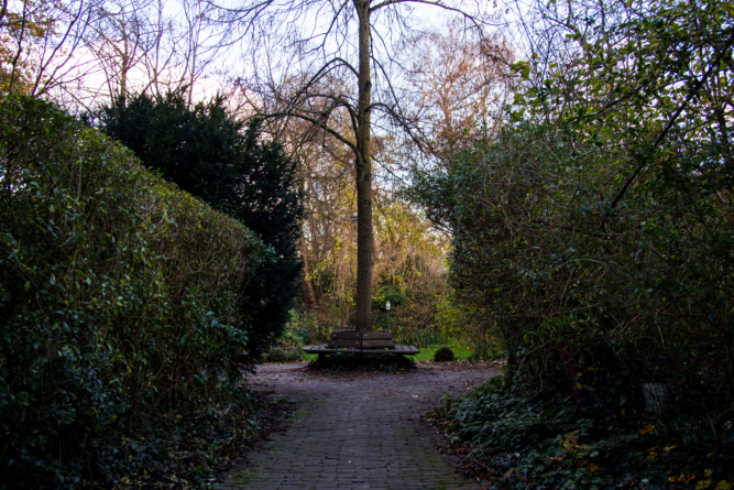 Ecologische binnentuin in het Spijkerkwartier