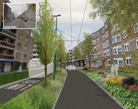 Klimaatadaptatie van Muijlwijkstraat