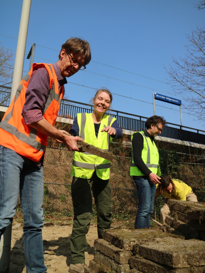 Start NK Tegelwippen Spoorhoek