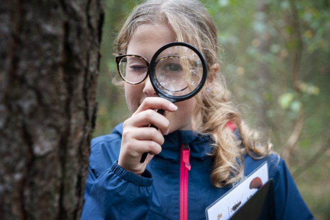 Fotografie Susanne Reuling_ Natuurcentrum Arnhem